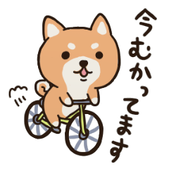 Lineスタンプ 犬好きが気になるスタンプ の完全一覧 全10種類