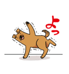 めだかの学校（森ゆきえ）（個別スタンプ：9）