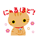 靴下にゃんこ にゃんだふるDays（個別スタンプ：9）